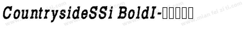 CountrysideSSi BoldI字体转换
